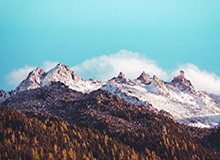 MK体育下载：让热爱随时随地点亮每一场比赛